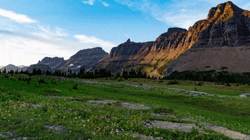 GIF by Glacier National Park Conservancy