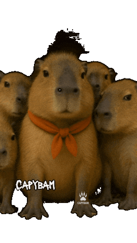 Friends What Sticker