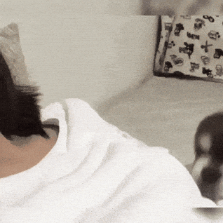 Aww Cuteness GIF
