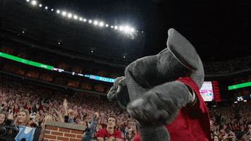 Alabama Football Ua GIF by The University of Alabama