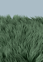 200.gif