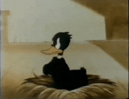 200.gif