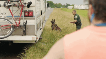 viceland GIF by WEEDIQUETTE