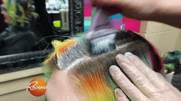 hair do GIF by Rachael Ray Show