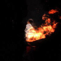 On Fire GIF by St. Vincent