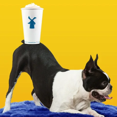 Good Morning Dog GIF