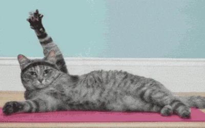 GIF