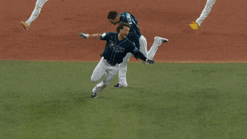 Major League Baseball Sport GIF by MLB