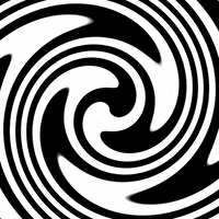 Revolve Black And White GIF