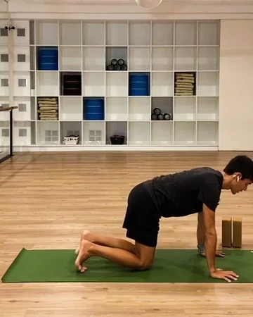 Downward Dog Yoga GIF