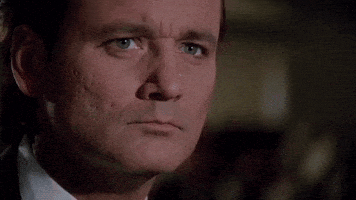 Staring Bill Murray GIF by filmeditor