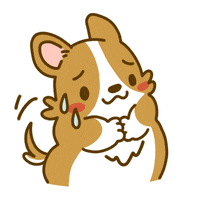 Confused Welsh Corgi GIF by Lazy Corgi