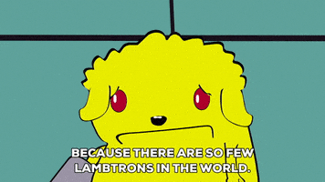 talking GIF by South Park 