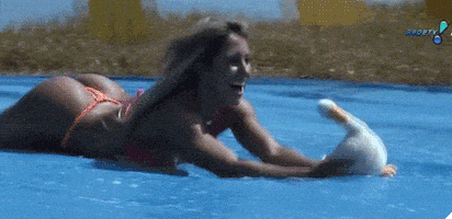 duck duck butt sliding GIF