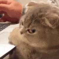 This Is Me Side Eye GIF by Respective