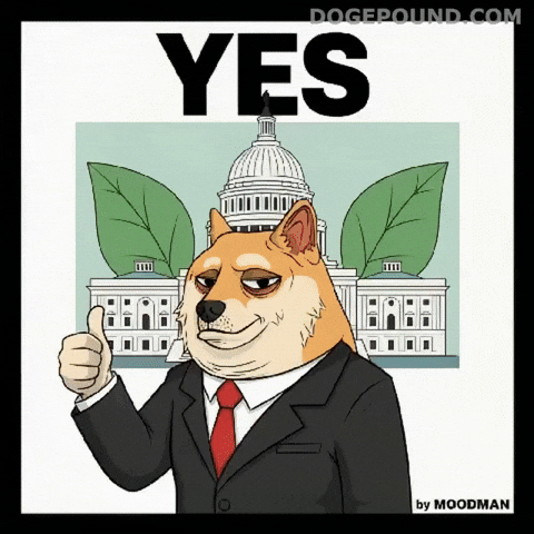 Shiba Inu Yes GIF by Doge Pound