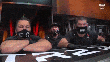 Mma Ufc GIF by ESPN