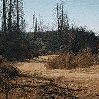 Drive Responsibly Electric Car GIF by Rivian