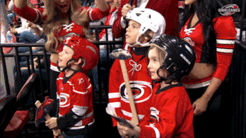 excited hockey GIF by Carolina Hurricanes