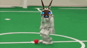 Football Lol GIF by HPPRS