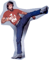 Chuck Norris Art GIF by hAyDiRoKeT