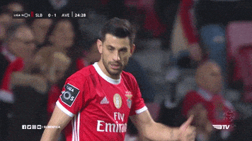 Sl Benfica Smile GIF by Sport Lisboa e Benfica
