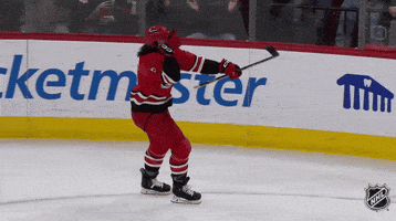 Happy Carolina Hurricanes GIF by NHL