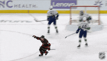 Happy Carolina Hurricanes GIF by NHL