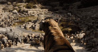 super bowl disney GIF by Disney's The Jungle Book