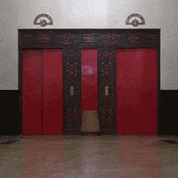 GIF by Coolidge Corner Theatre