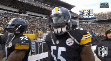 Pittsburgh Steelers Yes GIF by NFL