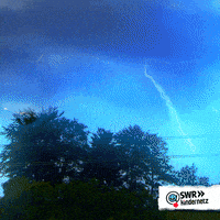 Tiere Bis Unters Dach Flash GIF by SWR Kindernetz