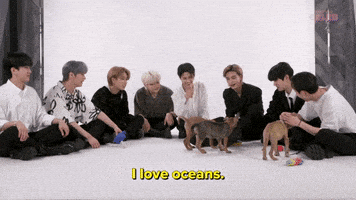K-Pop Stray Kids GIF by BuzzFeed