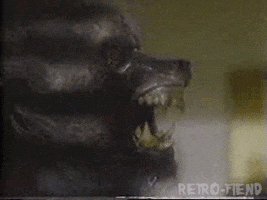 the howling horror movies GIF by RETRO-FIEND