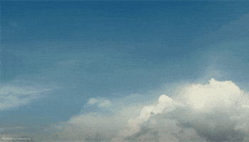 Lilo And Stitch GIF by Walt Disney Studios