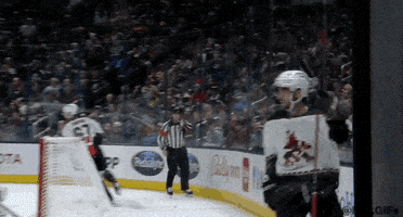 Happy Ice Hockey GIF by NHL