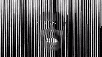 sub pop GIF by Clipping.