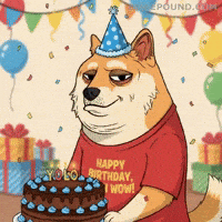 Happy Birthday Wow GIF by Doge Pound