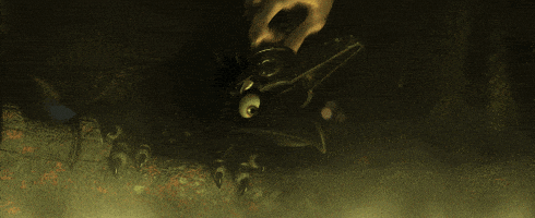 witch cooking GIF by Disney Pixar