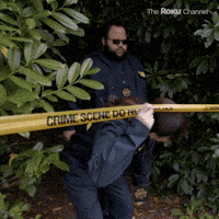 Season 2 Csi GIF by The Roku Channel Season 2 Csi GIF by The Roku Channel