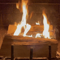 Fire Roasting GIF by This Bushwick Life Fire Roasting GIF by This Bushwick Life