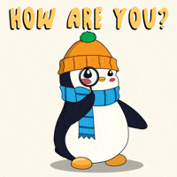How Are You Doing Whats Up GIF by Pudgy Penguins How Are You Doing Whats Up GIF by Pudgy Penguins