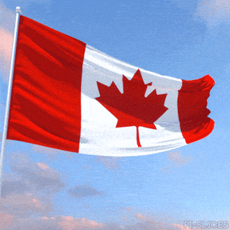 THE GREAT CANADIAN VOTE COUNT: CLOSE CALLS, RECOUNTS, AND ONE VERY LOST BALLOT