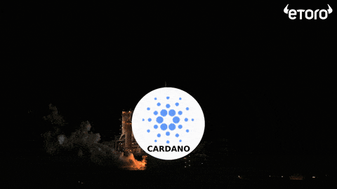 🦖 Cardano Exploding with Gains