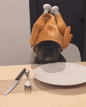 Thanksgiving Day Waiting GIF by JustViral