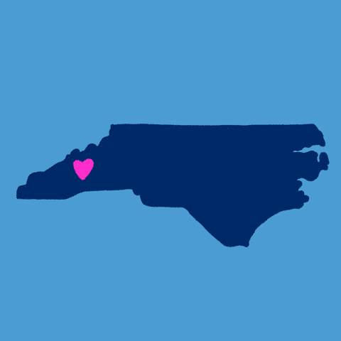 Got to Be NC Festival 2025: Local Flavor and Big Fun