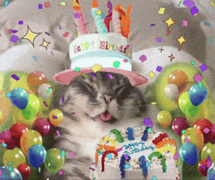 Happy Birthday Cat GIF