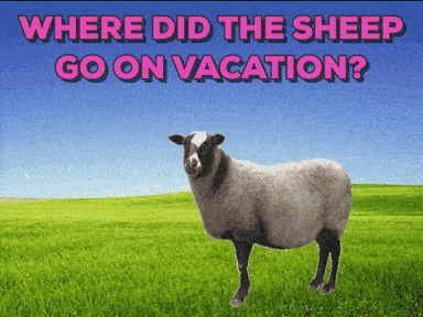 Vacation Sheep GIF