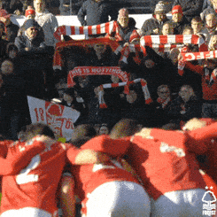 Football Celebration GIF by Nottingham Forest