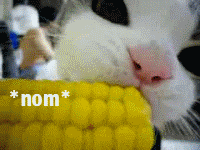 🌽 AI tracks corn—less data!?